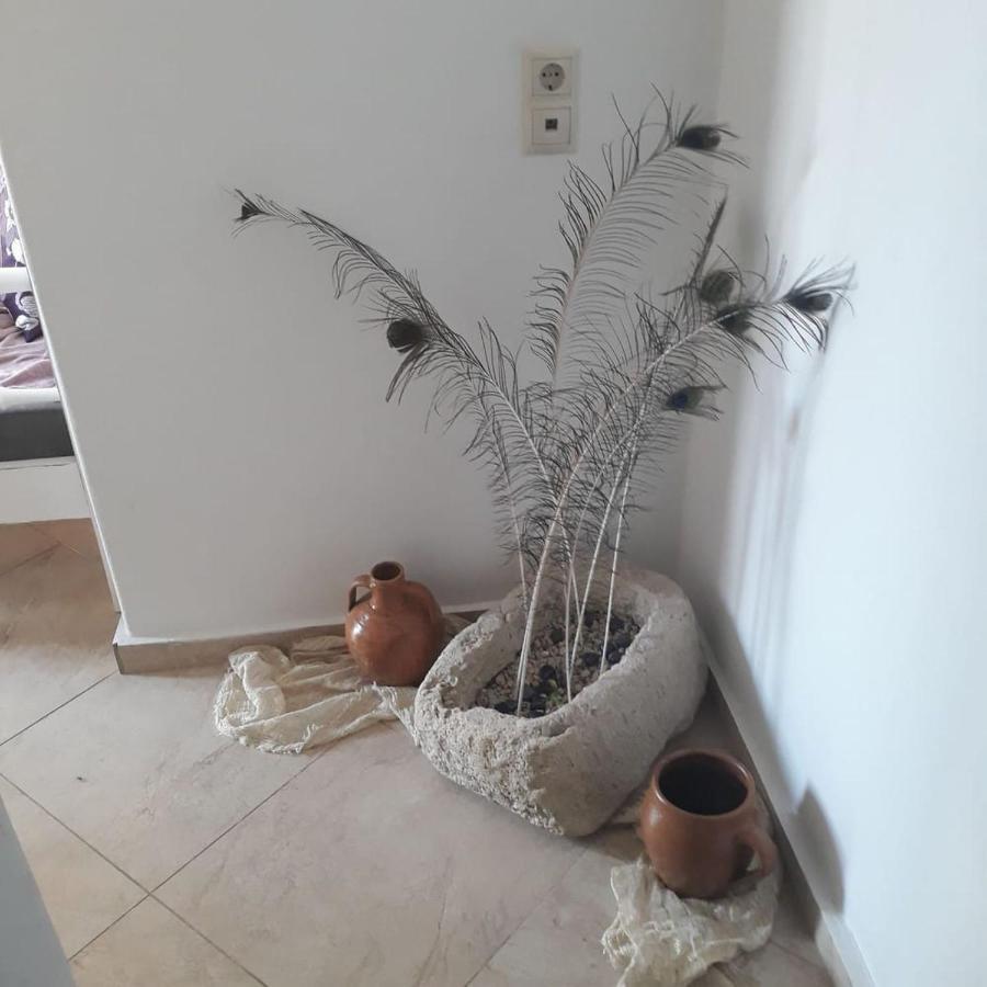 Kleopatra Deluxe Apartment With Jacuzzi 卡米拉日 外观 照片